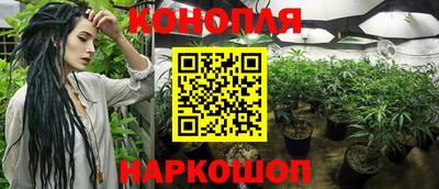 дживик Лесосибирск